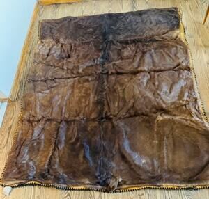 Antique Horse Hair Carriage Buggy Sleigh Wool Blanket by Edes Robe Tanning
